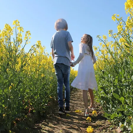 Schoener Am In Elmenhorst * Kalkhorst