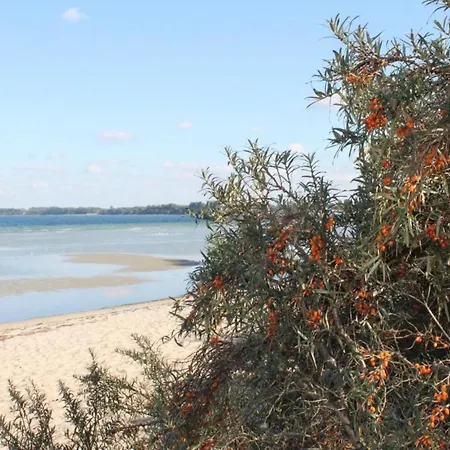 Dom wakacyjny Schoener Am In Elmenhorst *