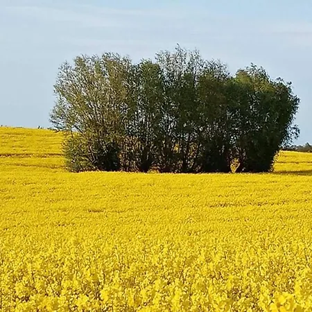 Schoener Am In Elmenhorst