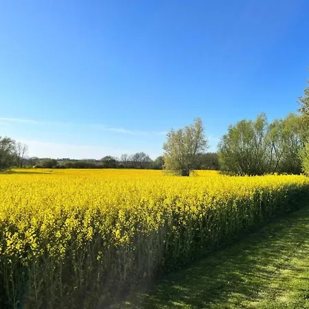 Dom wakacyjny Schoener Am In Elmenhorst Kalkhorst