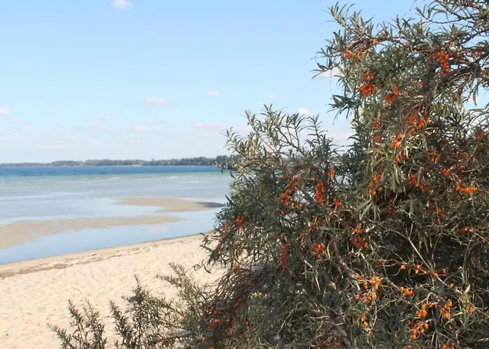 Hébergement de vacances Schoener Am In Elmenhorst *