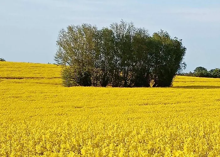 Schoener Am In Elmenhorst