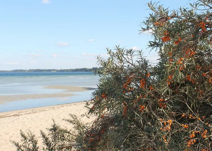 Schoener Am In Elmenhorst